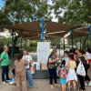 Baleares_12M (3)